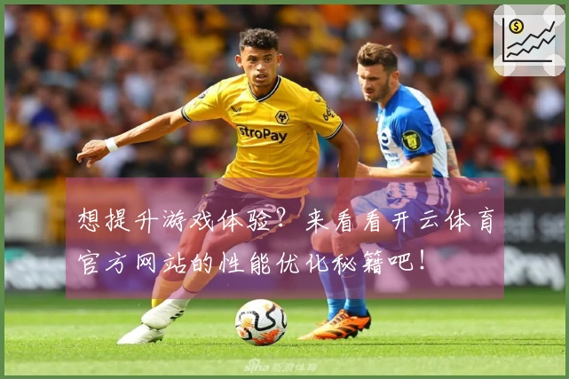 想提升游戏体验？来看看开云体育官方网站的性能优化秘籍吧！