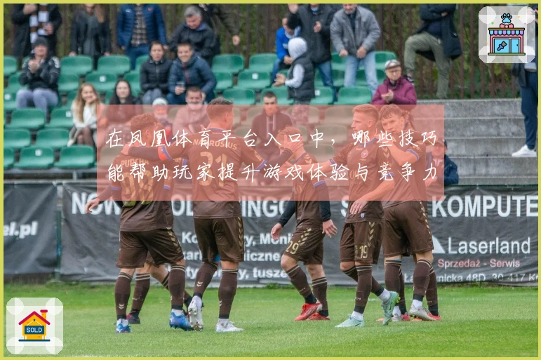 在凤凰体育平台入口中，哪些技巧能帮助玩家提升游戏体验与竞争力？