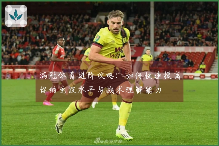 满冠体育进阶攻略：如何快速提高你的竞技水平与战术理解能力